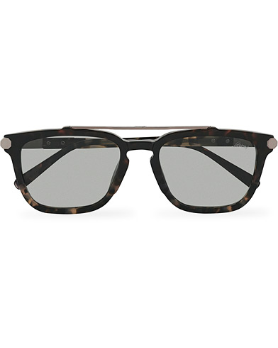 Herren |  | Brioni | BR0078S Sunglasses Havana/Grey