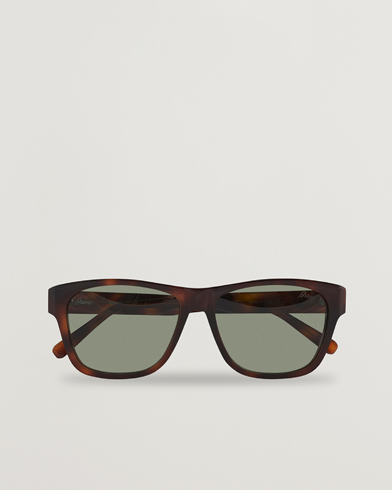 Herren | Luxury Brands | Brioni | BR0081S Sunglasses Havana/Green