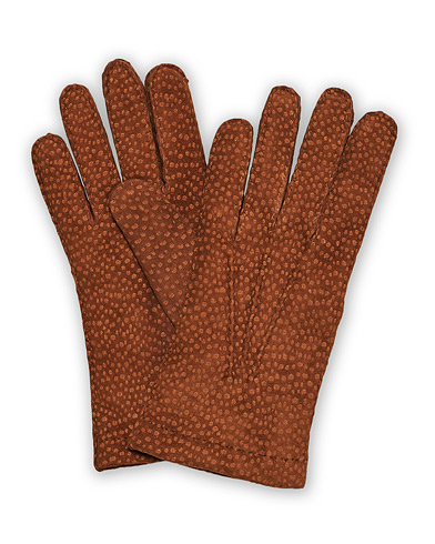 Handschuh |  Carpincho Handsewn Cashmere Glove Siena