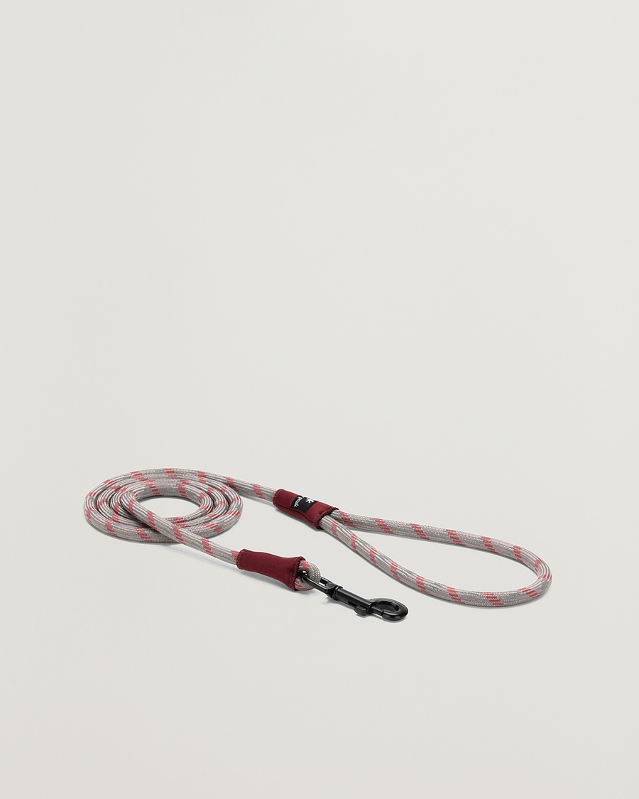  Dog Rope Lead Grey