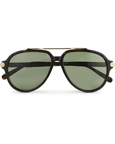 Herren |  | Brioni | BR0096S Sunglasses Havana Green