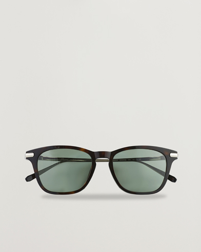 Herren | Gebogene Sonnenbrillen | Brioni | BR0092S Titanium Sunglasses Havana Green