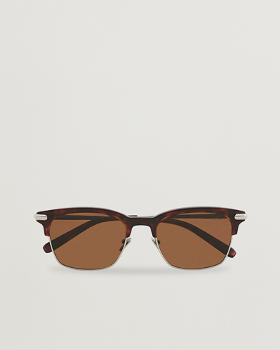 Herren | Brioni | Brioni | BR0093S Sunglasses Havana Brown