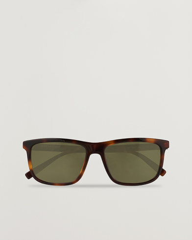 Herren | Saint Laurent | Saint Laurent | SL 501 Sunglasses Havana/Green