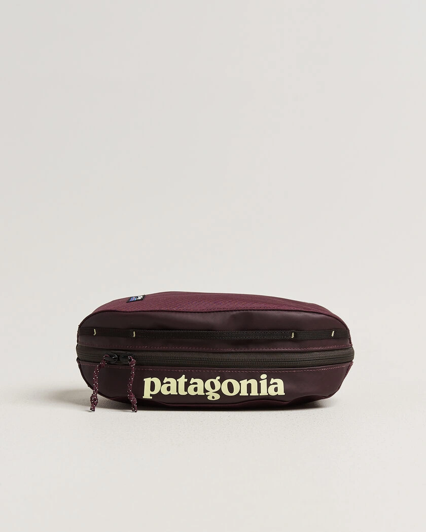 Patagonia Black Hole Cube 3L Berry Fig – Lila