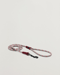  Dog Rope Lead Grey