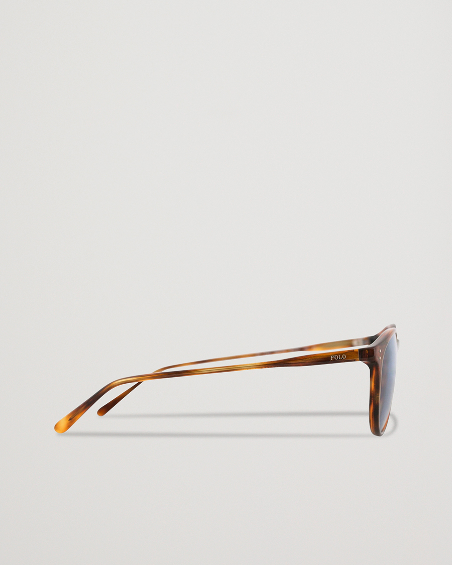 Herren | Polo Ralph Lauren 0PH4110 Sunglasses Stripped Havana | Polo Ralph Lauren | 0PH4110 Sunglasses Stripped Havana