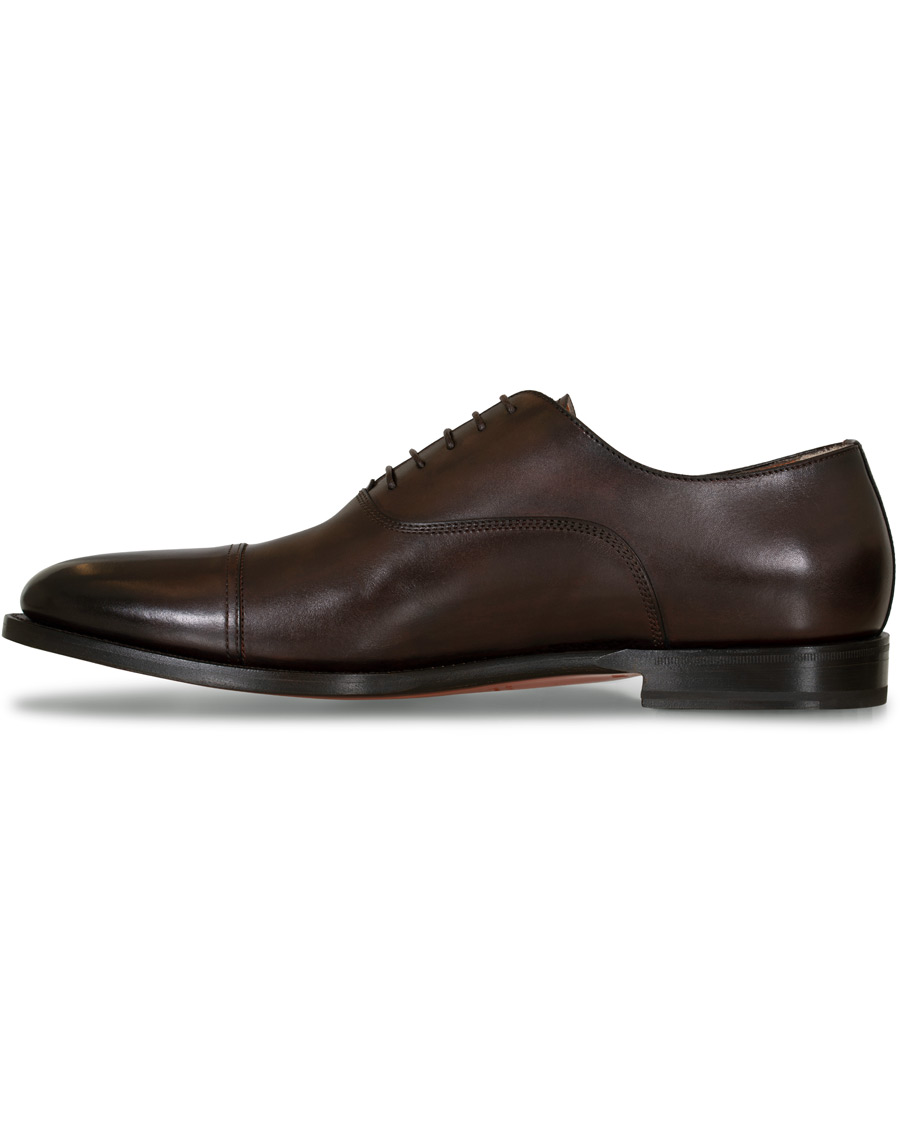 Herren | Santoni Wilson Oxford Dark Brown Calf | Santoni | Wilson Oxford Dark Brown Calf