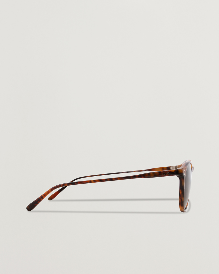 Herren | Sonnenbrillen | Polo Ralph Lauren | 0PH4110 Sunglasses Havana