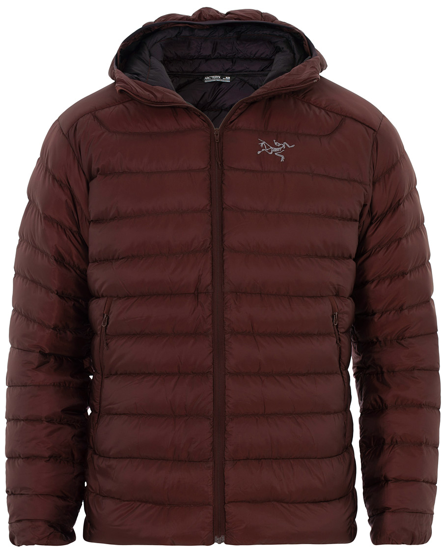 Herren | Jacken | Arc'teryx | Cerium LT Quilted Shell Hooded Down Jacket Flux