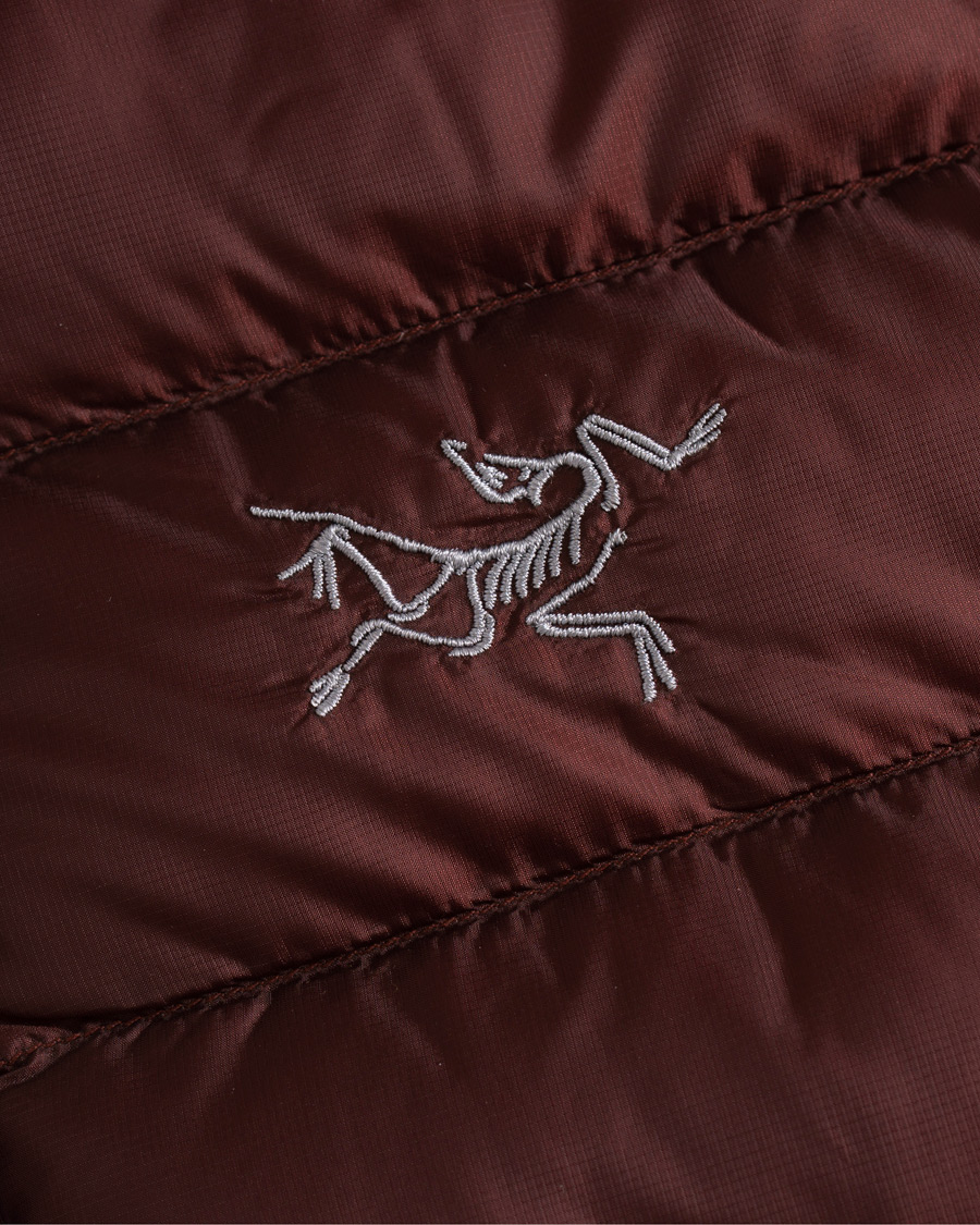 Herren | Jacken | Arc'teryx | Cerium LT Quilted Shell Hooded Down Jacket Flux