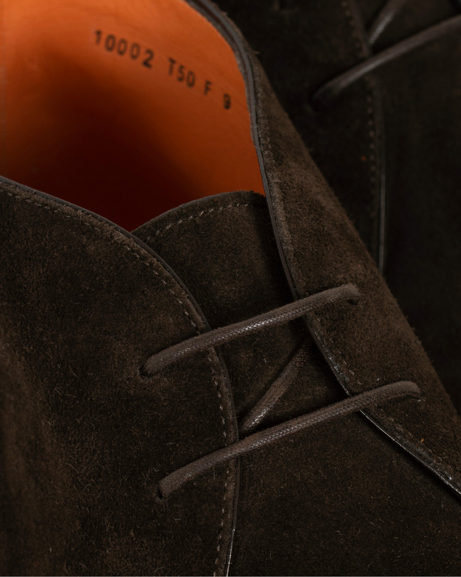 Herren | Santoni Wembley Chukka Boot Dark Brown Suede | Santoni | Wembley Chukka Boot Dark Brown Suede