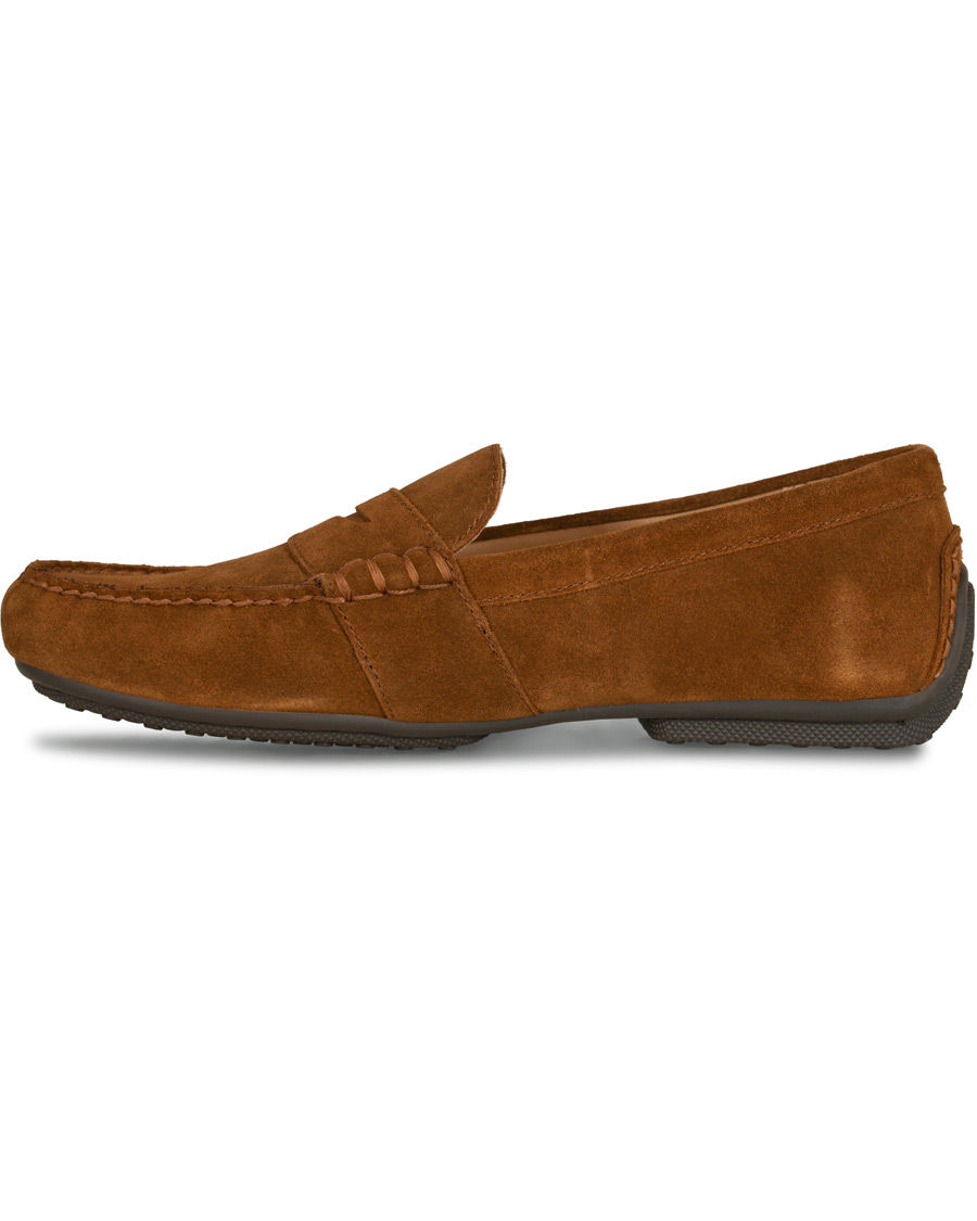 Herren | Polo Ralph Lauren Reynold Driving Loafer Snuff Suede | Polo Ralph Lauren | Reynold Driving Loafer Snuff Suede