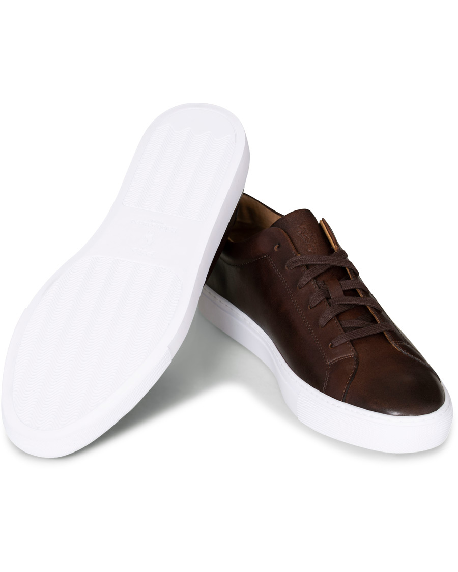 Herren | Polo Ralph Lauren Jermain II Sneaker Brown | Polo Ralph Lauren | Jermain II Sneaker Brown