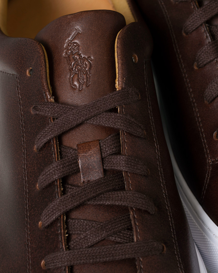 Herren | Polo Ralph Lauren Jermain II Sneaker Brown | Polo Ralph Lauren | Jermain II Sneaker Brown