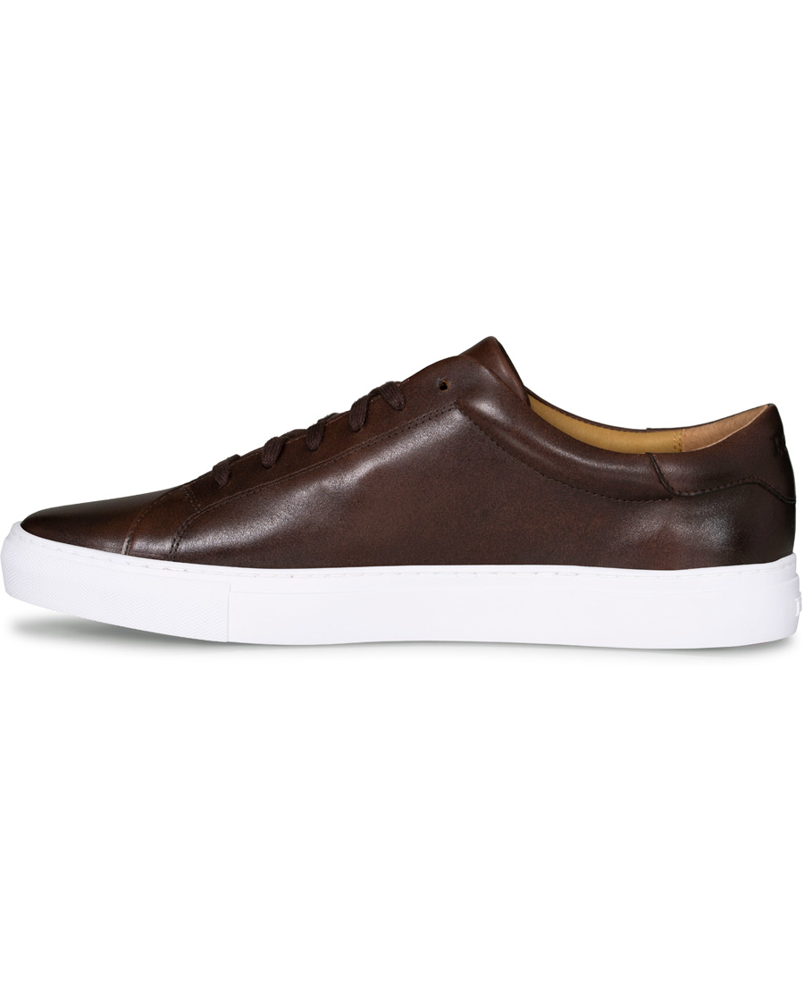 Herren | Polo Ralph Lauren Jermain II Sneaker Brown | Polo Ralph Lauren | Jermain II Sneaker Brown