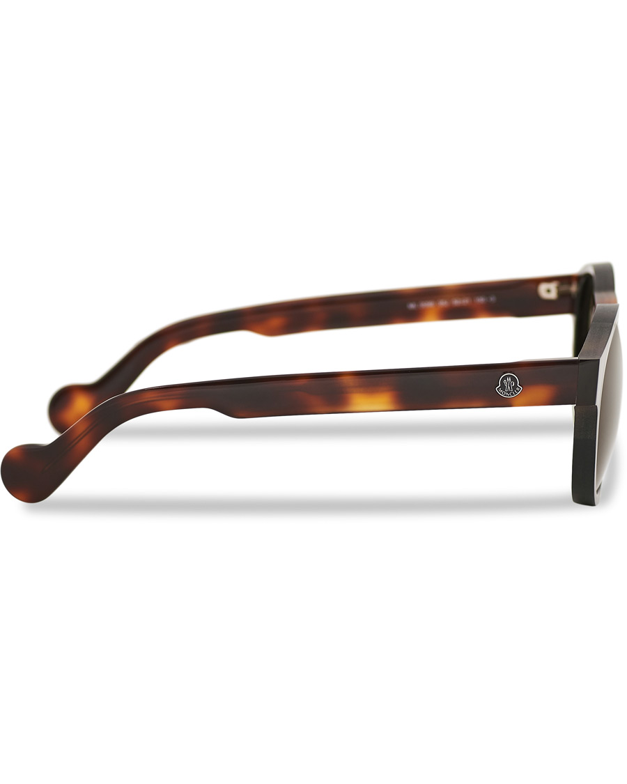 Herren | Moncler Lunettes ML0099 Sunglasses Black/Havana | Moncler Lunettes | ML0099 Sunglasses Black/Havana