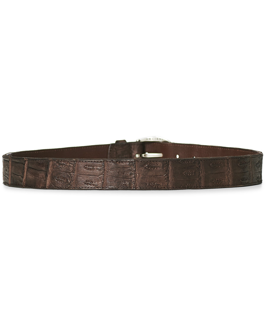 Herren | Orciani Crocodile Belt 3,5 cm Dark Brown | Orciani | Crocodile Belt 3,5 cm Dark Brown