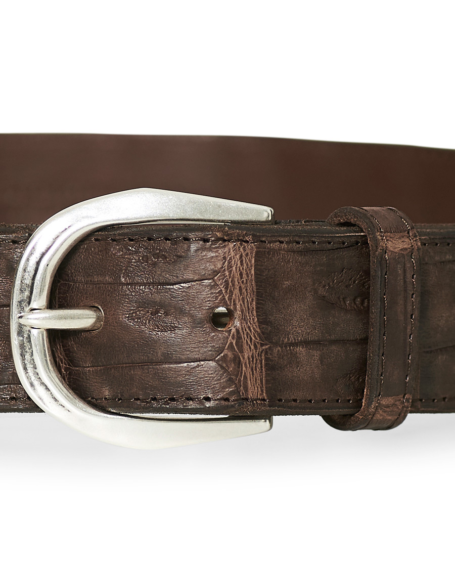 Herren | Orciani Crocodile Belt 3,5 cm Dark Brown | Orciani | Crocodile Belt 3,5 cm Dark Brown
