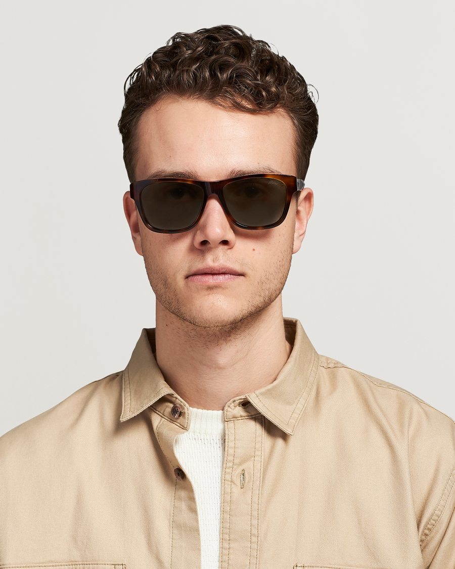 Herren | Brioni BR0081S Sunglasses Havana/Green | Brioni | BR0081S Sunglasses Havana/Green