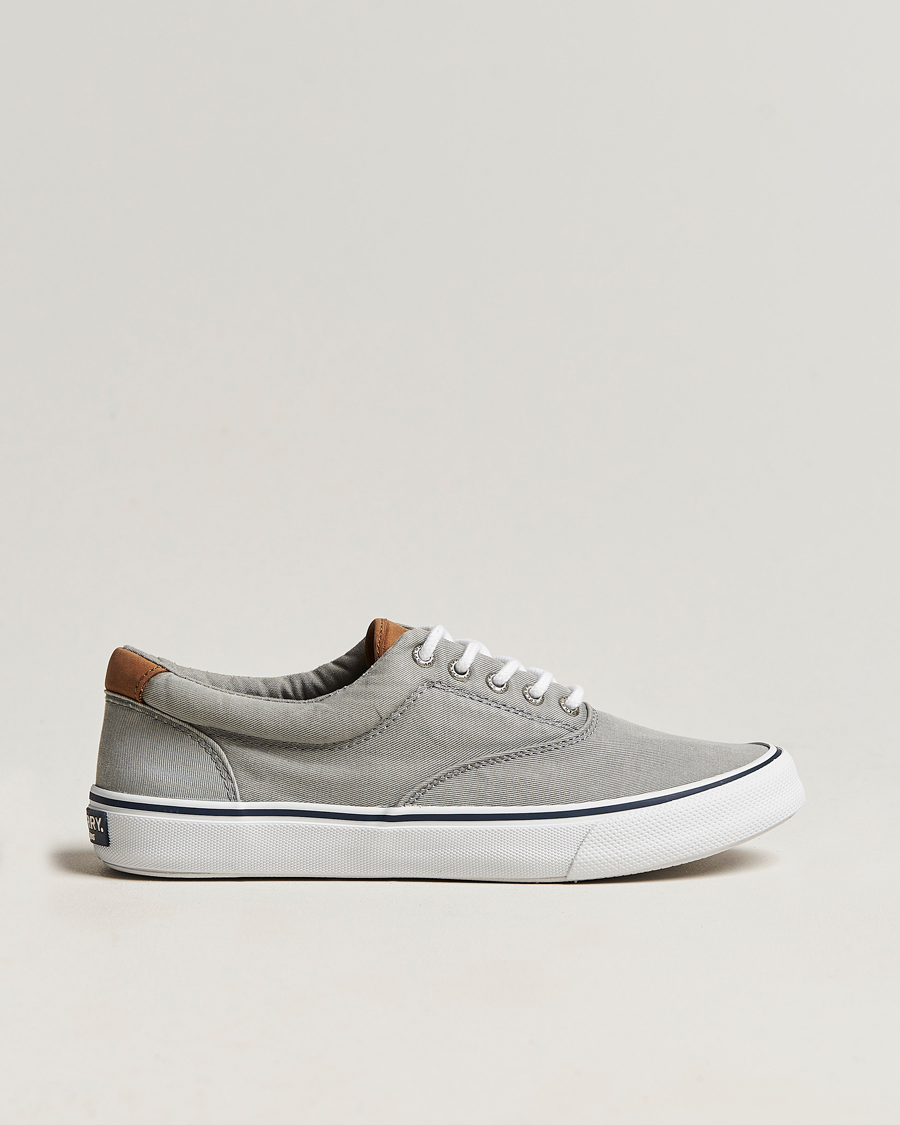 Herren |  | Sperry | Striper II Canvas Sneaker Grey