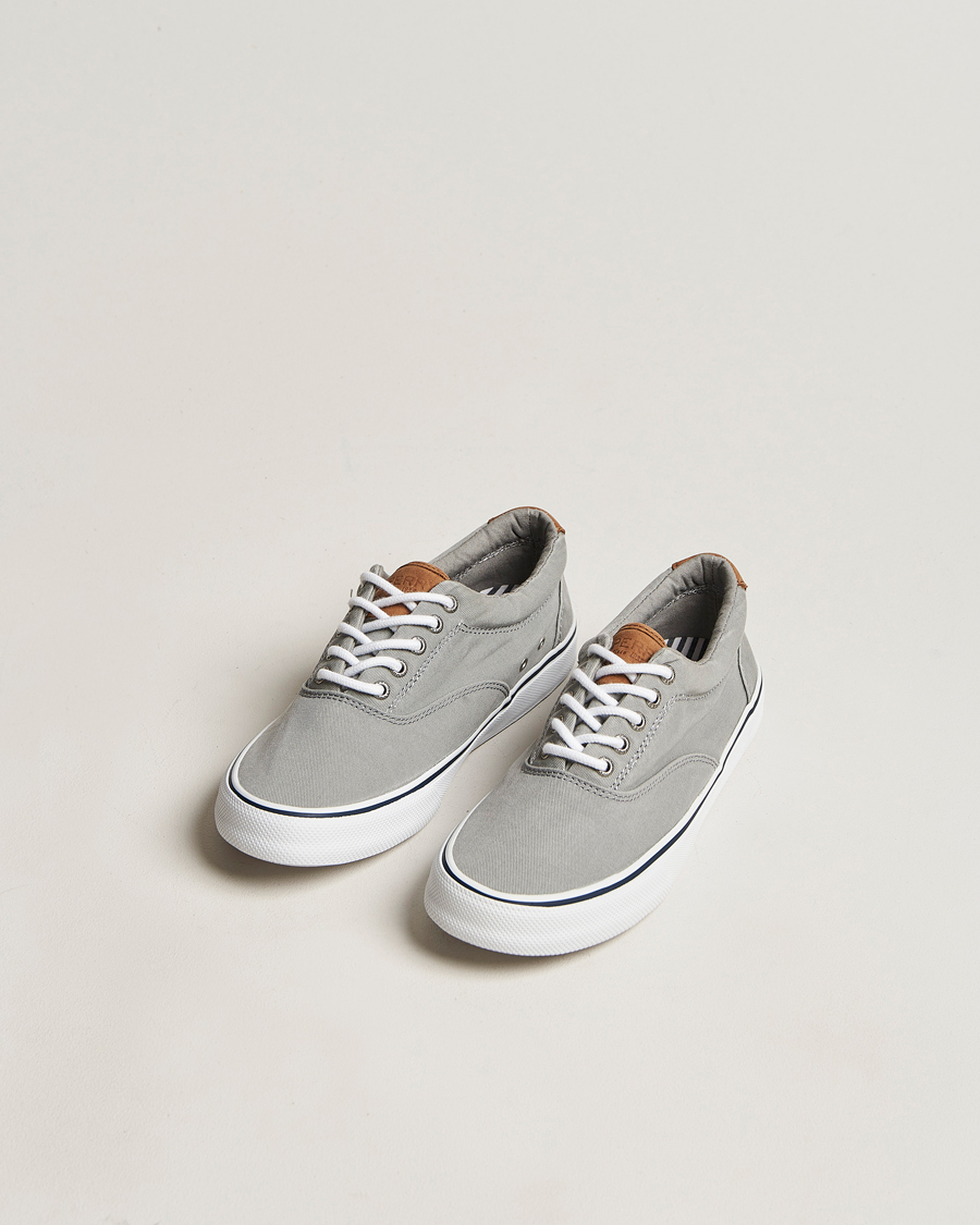 Herren |  | Sperry | Striper II Canvas Sneaker Grey