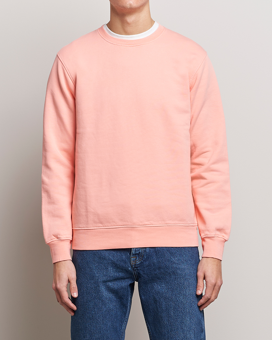 Herren | Pullover | Colorful Standard | Classic Organic Crew Neck Sweat Bright Coral