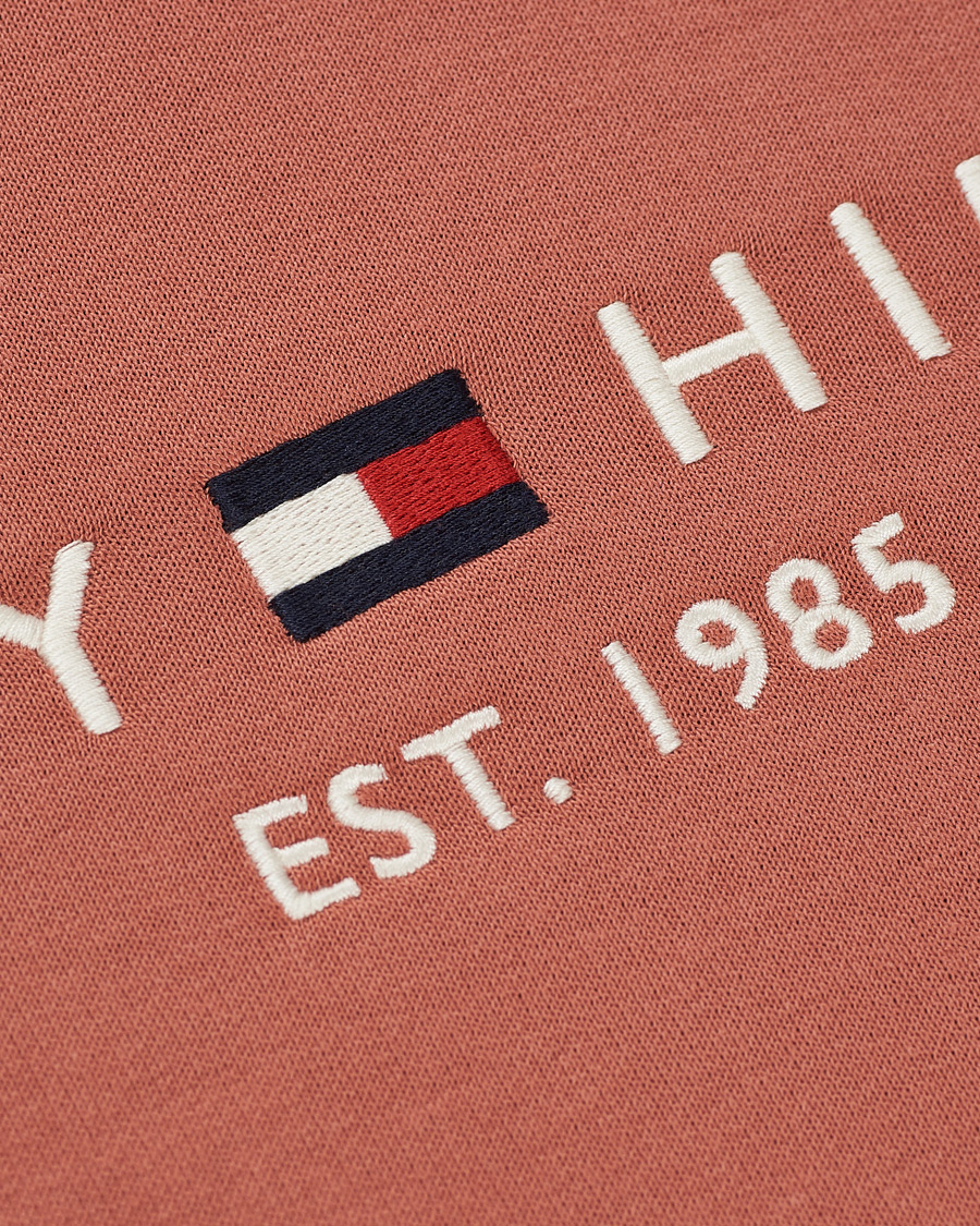 Herren | Pullover | Tommy Hilfiger | Logo Hoodie Mineralize