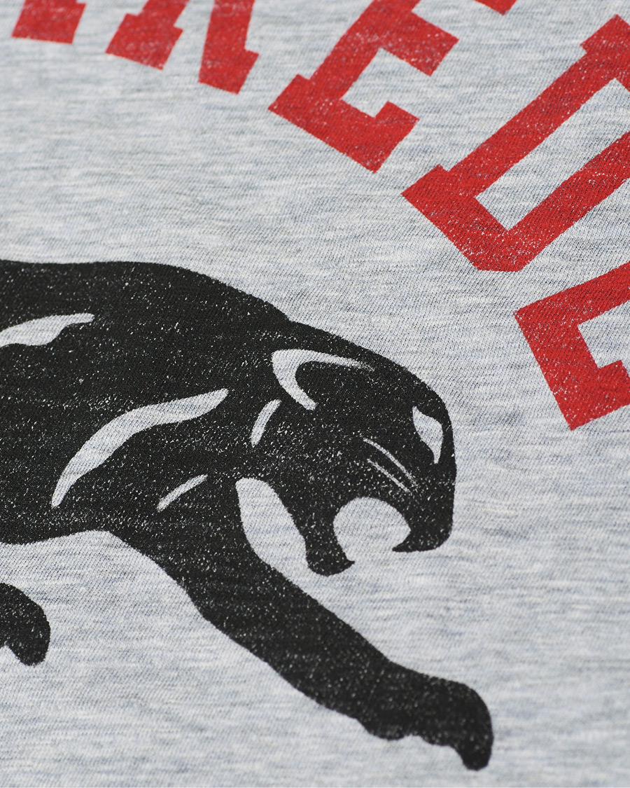Herren | T-Shirts | Dsquared2 | Tiger Tee Grey Heather