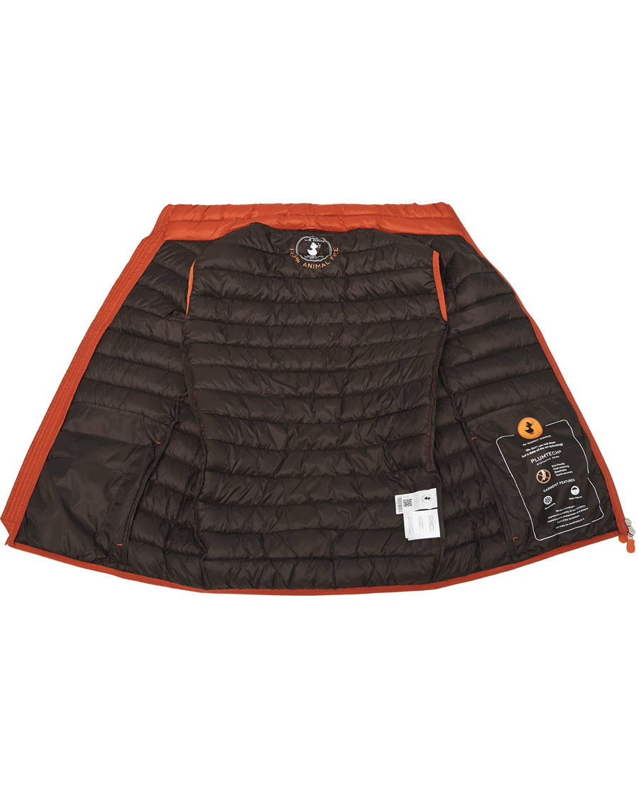 Herren | Jacken | Save The Duck | Adam Lightweight Padded Vest Ginger Orange