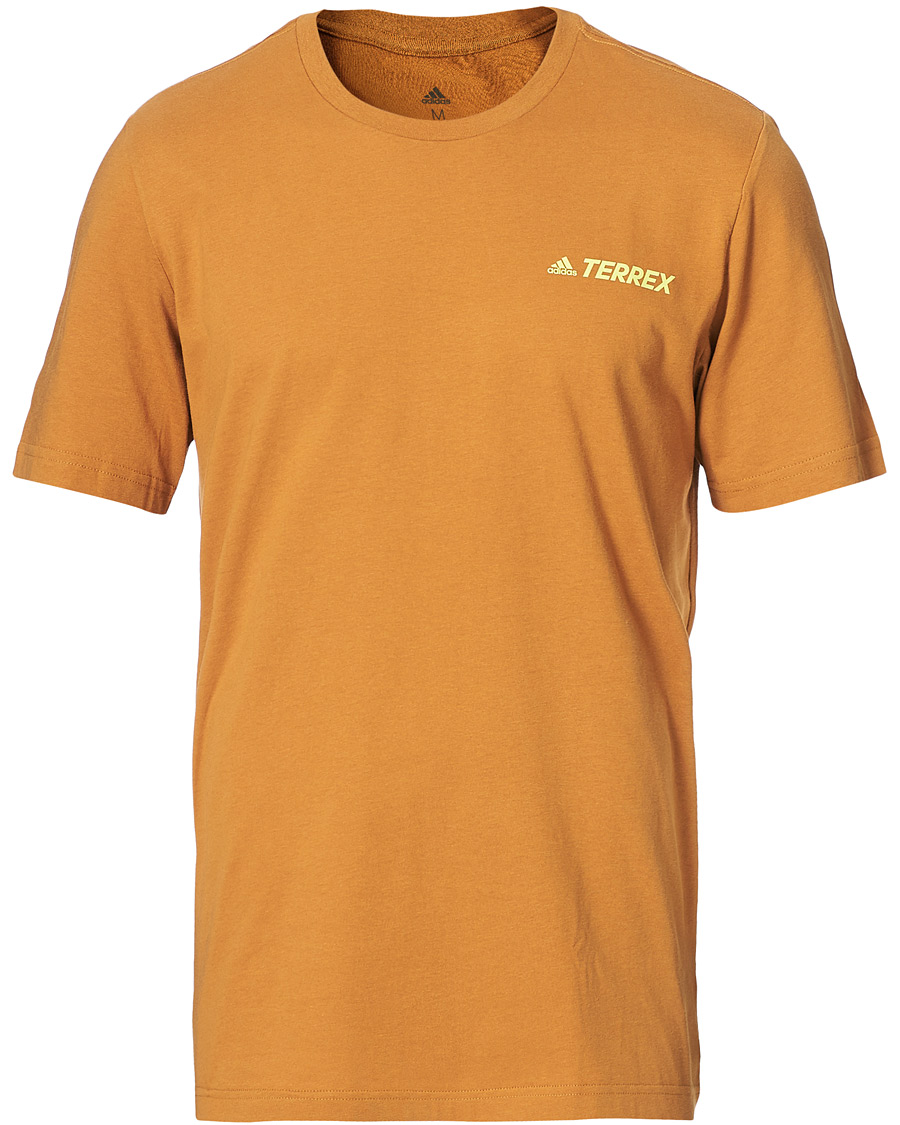 Herren | T-Shirts | adidas Performance | Terrex MT Tee Mesa
