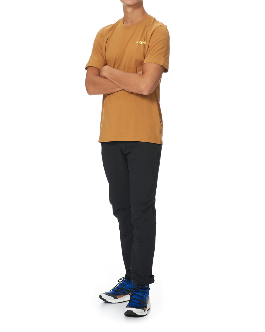Herren | T-Shirts | adidas Performance | Terrex MT Tee Mesa