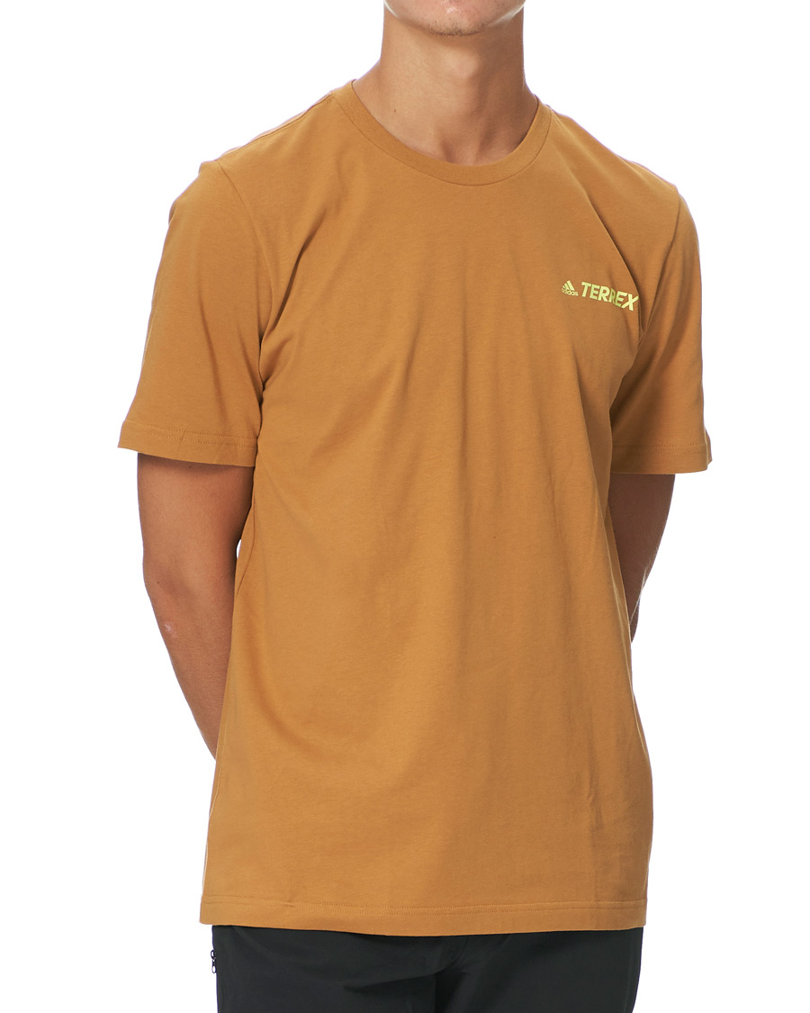 Herren | T-Shirts | adidas Performance | Terrex MT Tee Mesa