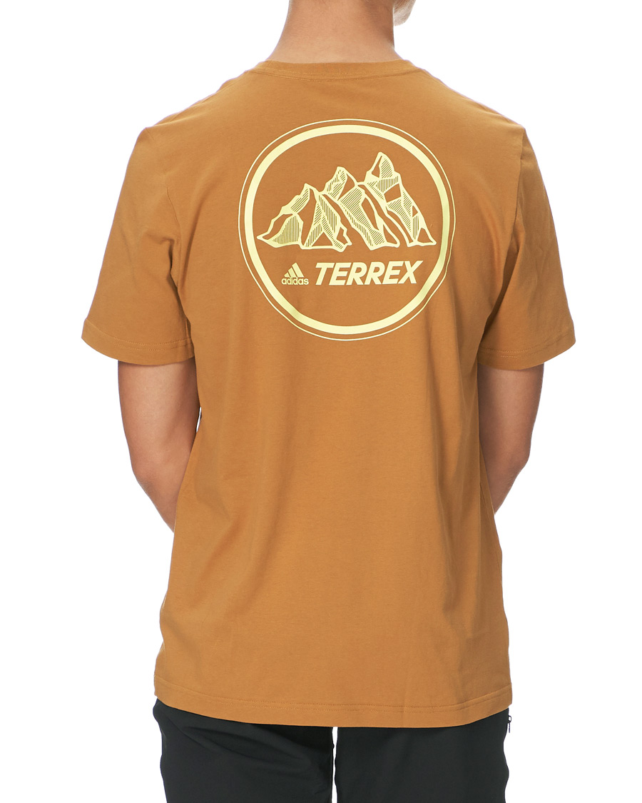 Herren | T-Shirts | adidas Performance | Terrex MT Tee Mesa