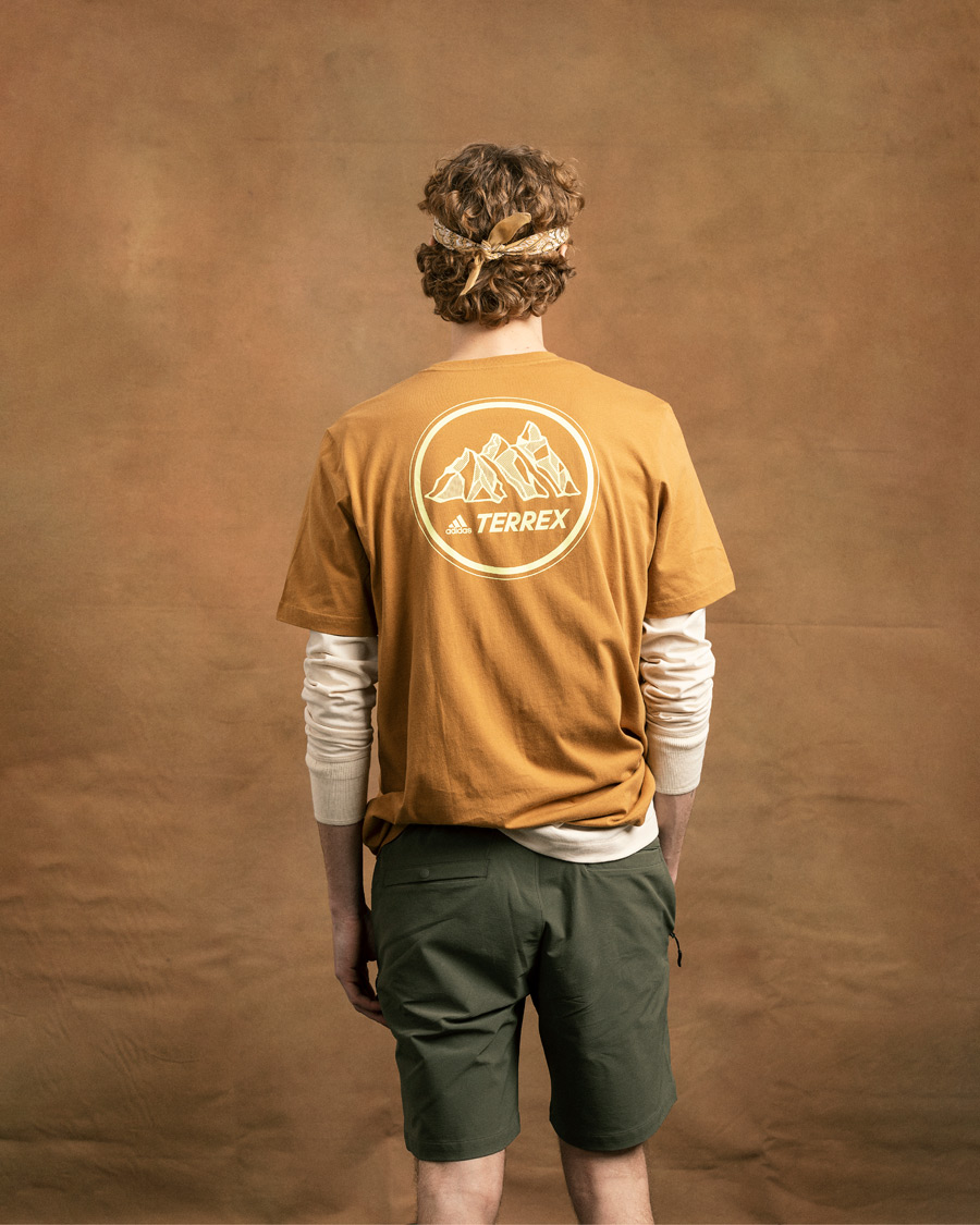 Herren | T-Shirts | adidas Performance | Terrex MT Tee Mesa