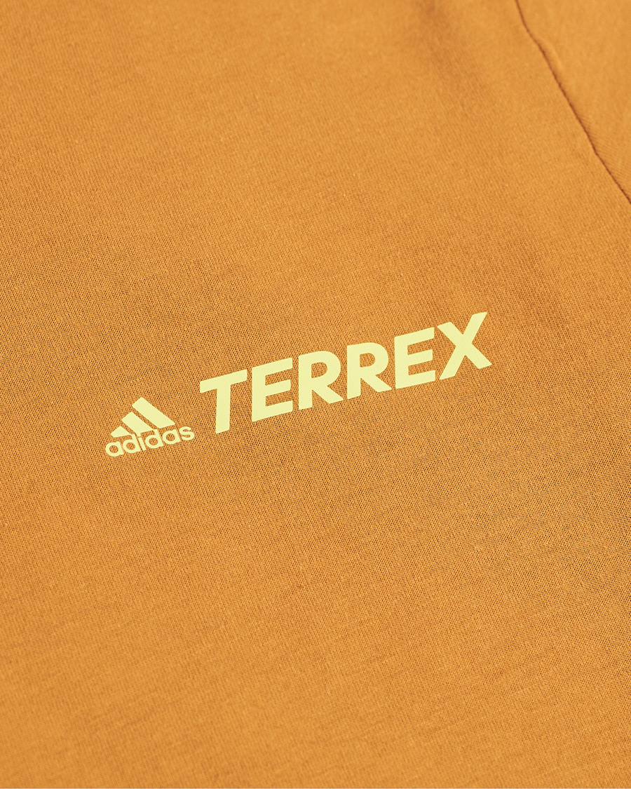 Herren | T-Shirts | adidas Performance | Terrex MT Tee Mesa