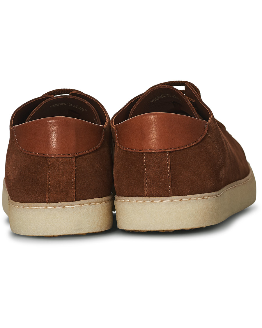 Herren | Astorflex Softflex Sneaker Snuff Suede | Astorflex | Softflex Sneaker Snuff Suede