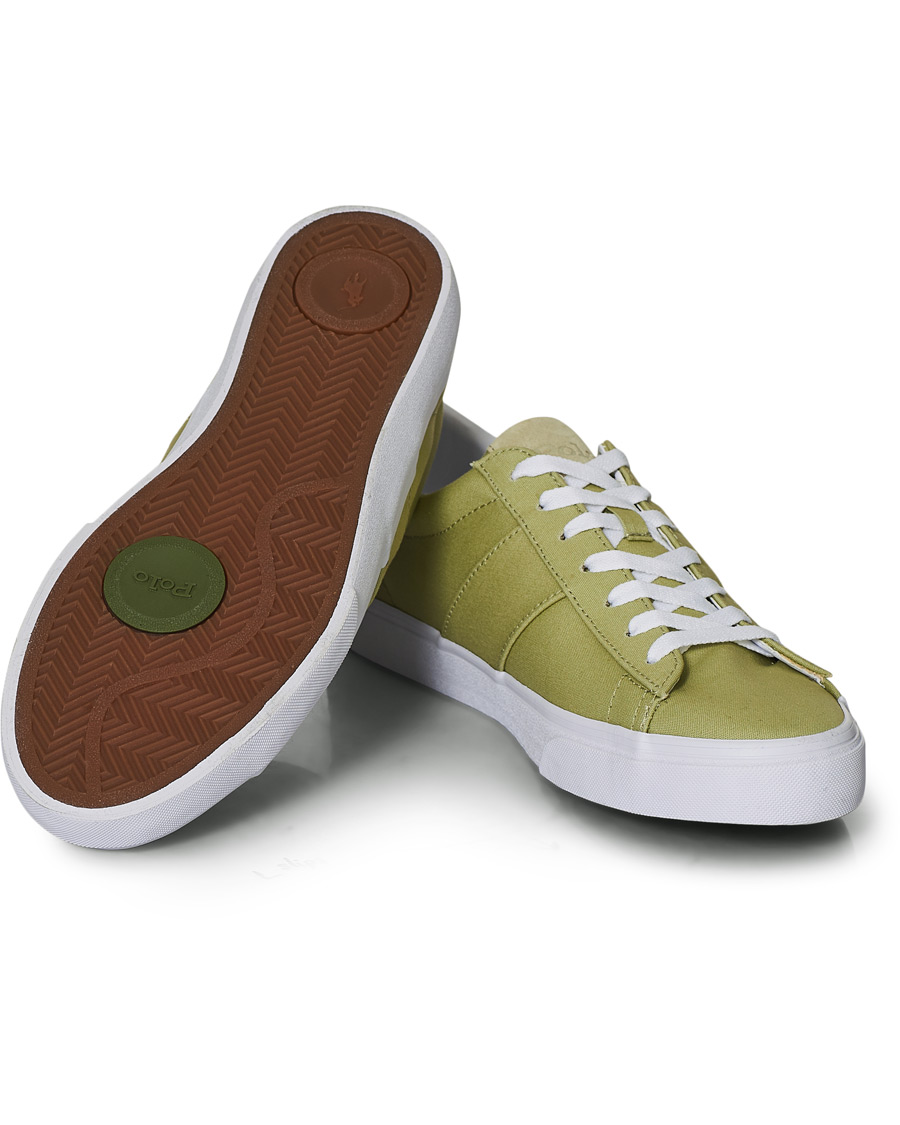Herren | Polo Ralph Lauren Sayer Canvas Sneaker Light Olive | Polo Ralph Lauren | Sayer Canvas Sneaker Light Olive