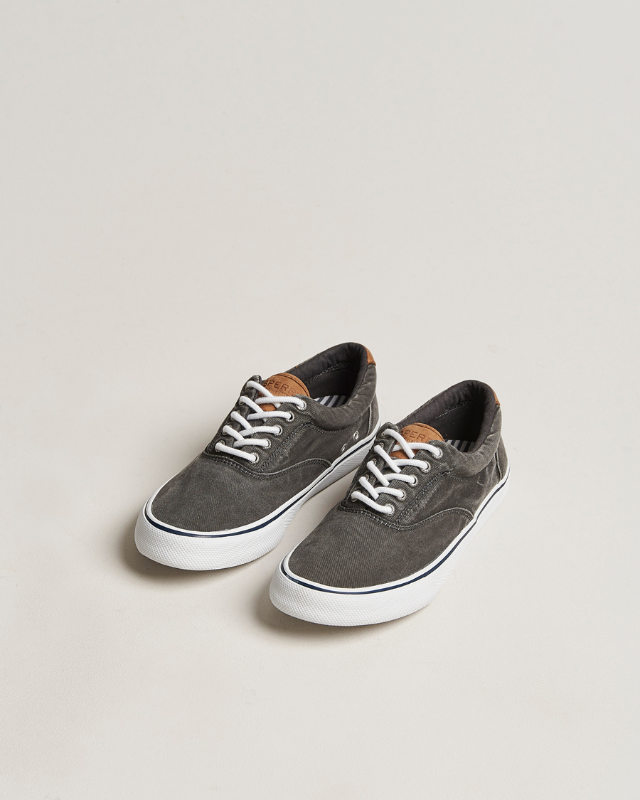 Herren |  | Sperry | Striper II Canvas Sneaker Whased Black