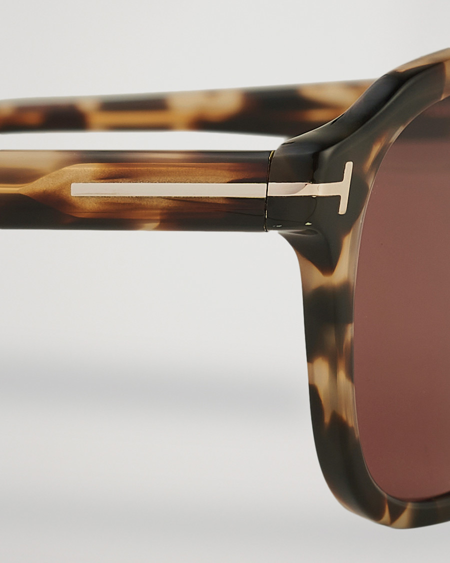 Herren | Tom Ford Avery Sunglasses Havana/Bordeaux | Tom Ford | Avery Sunglasses Havana/Bordeaux