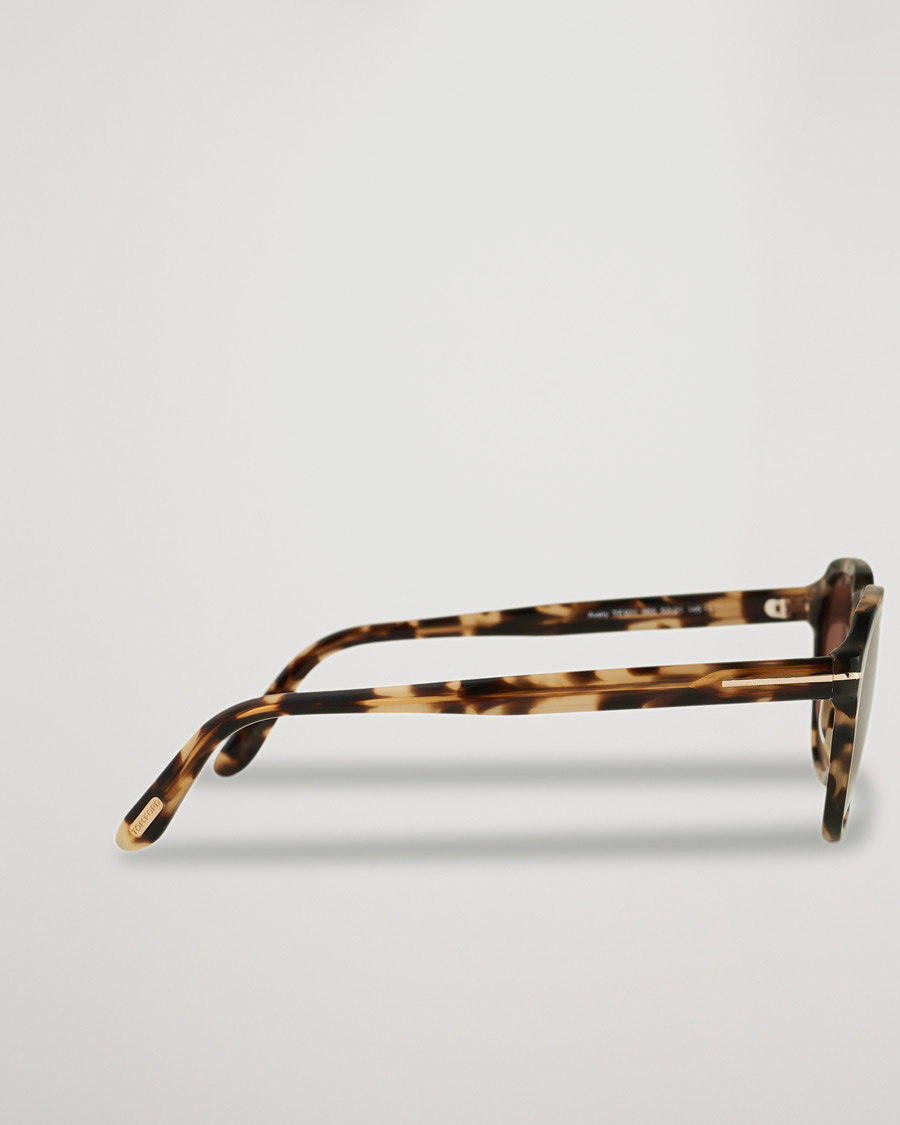 Herren | Tom Ford Avery Sunglasses Havana/Bordeaux | Tom Ford | Avery Sunglasses Havana/Bordeaux
