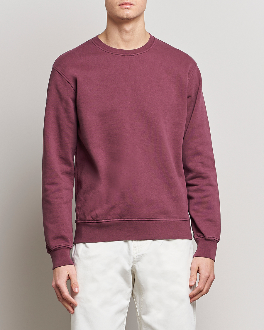 Herren | Pullover | Colorful Standard | Classic Organic Crew Neck Sweat Dusty Plum