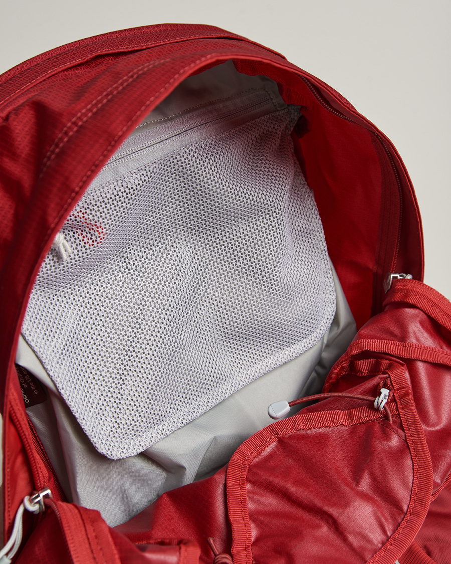 Herren | Osprey Talon 22 Backpack Cosmic Red | Osprey | Talon 22 Backpack Cosmic Red