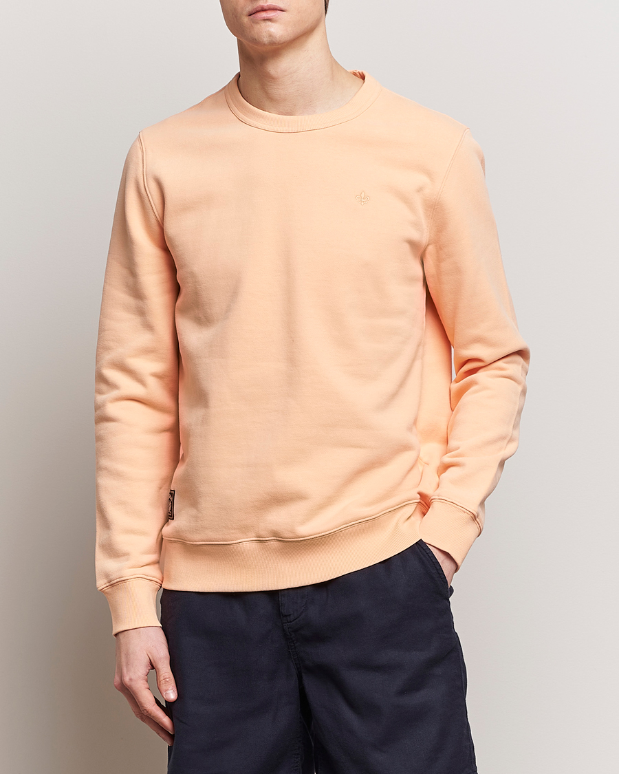 Herren | Neue Produktbilder | Morris | Brandon Lily Sweatshirt Orange