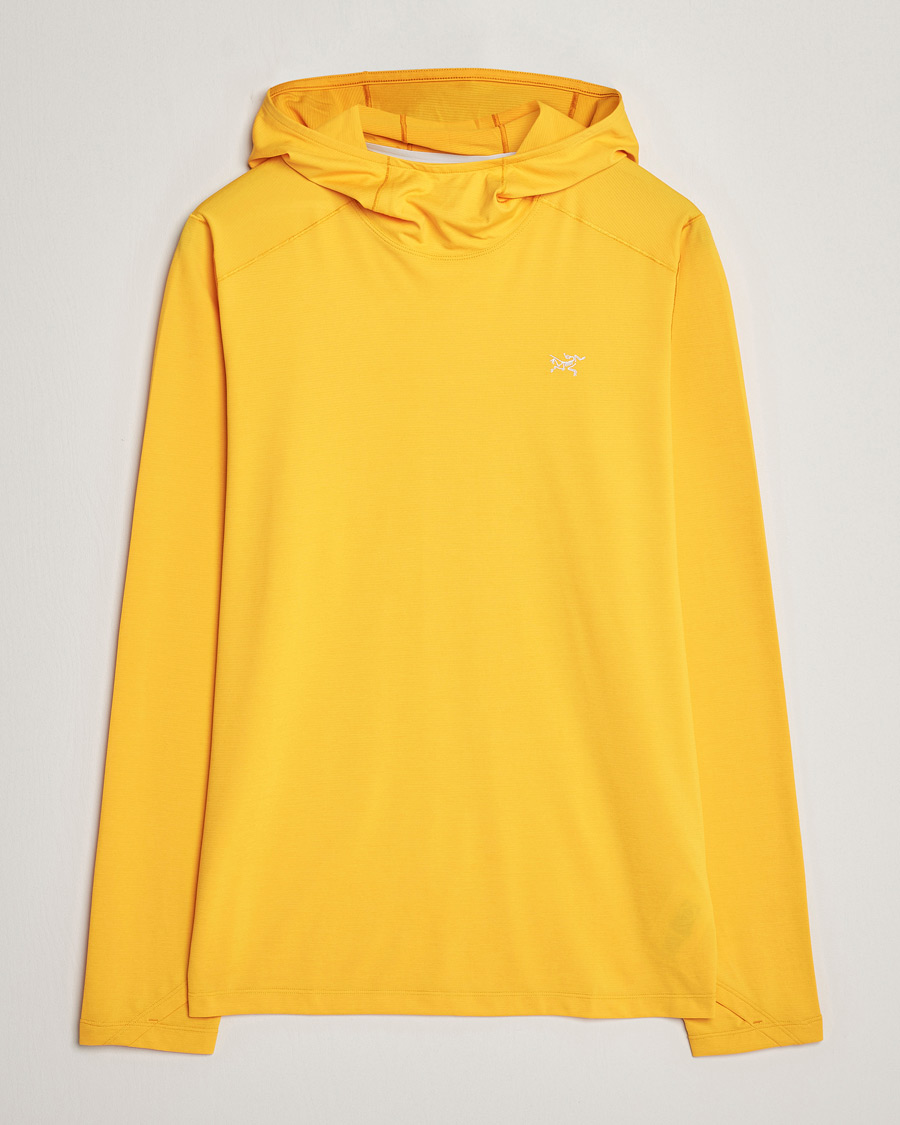 Herren | Pullover | Arc'teryx | Cormac Hoodie Edziza Heather