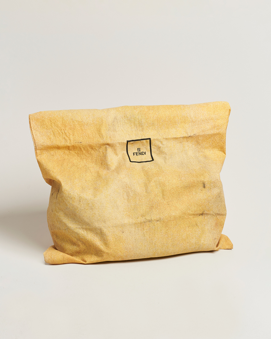 Fendi lunch bag online