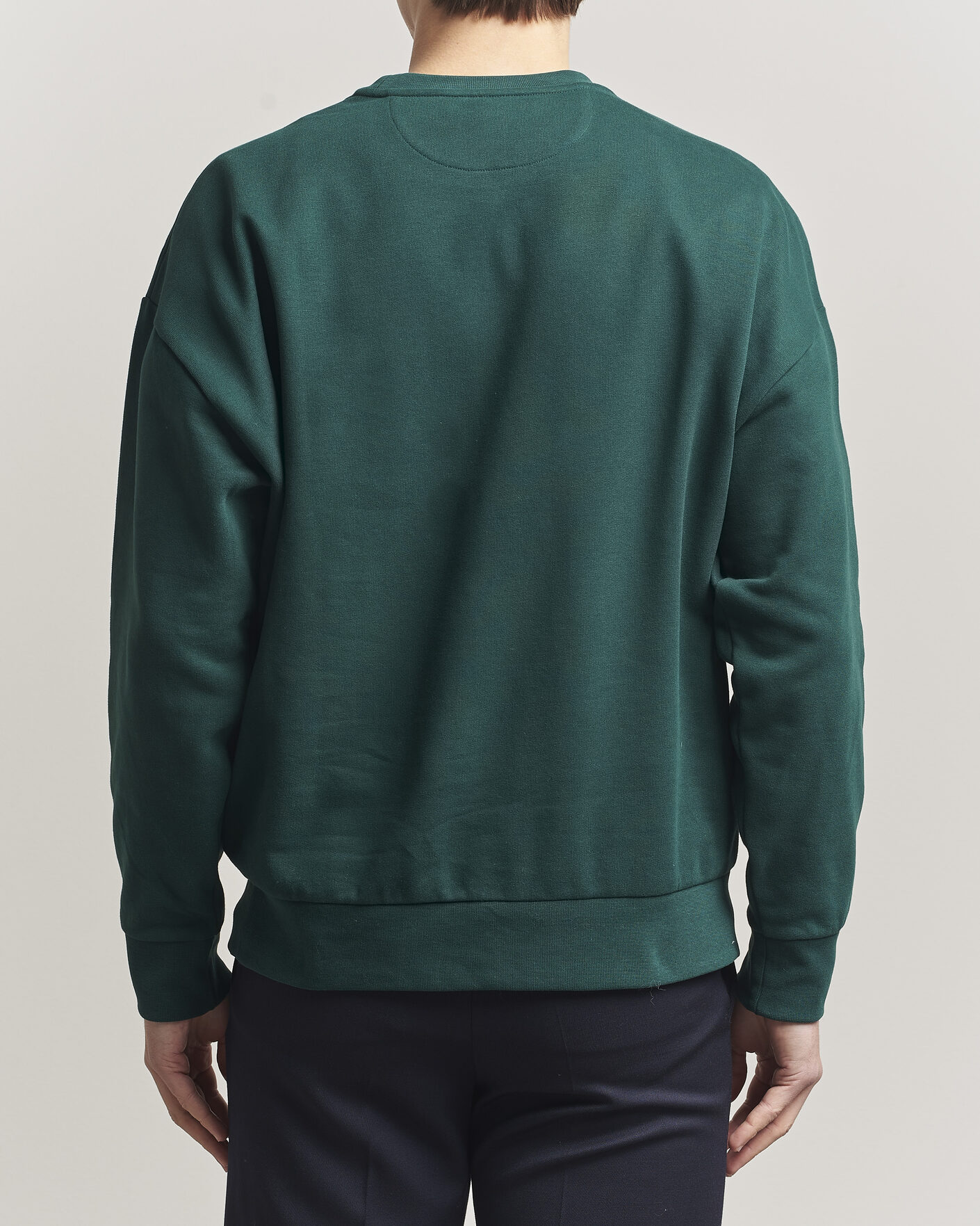 Herren | Pullover | RLX Ralph Lauren | Loopback Terry Bear Sweatshirt Moss Agate