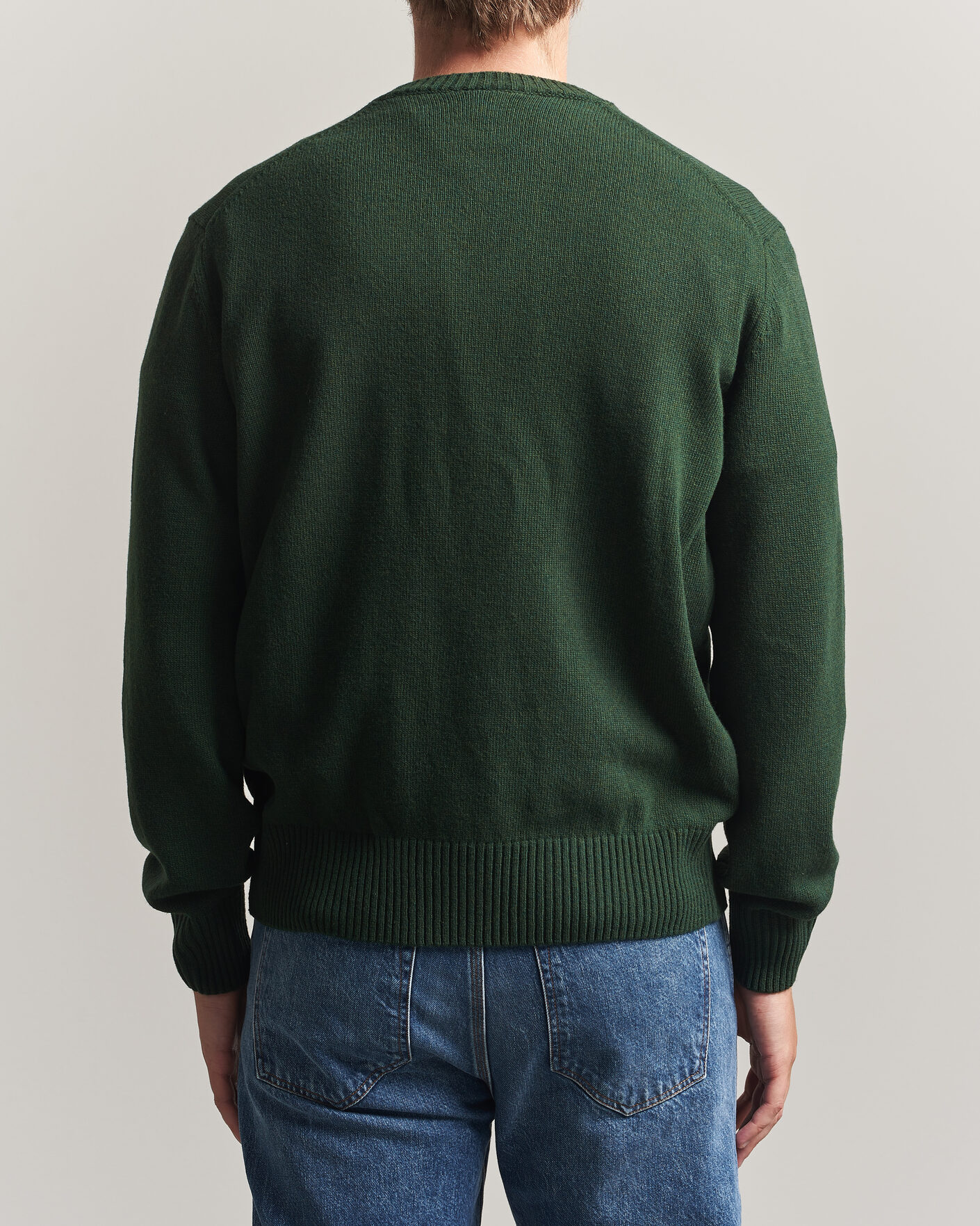 Herren | Pullover | Lacoste | Carded Wool Crew Neck Sinople
