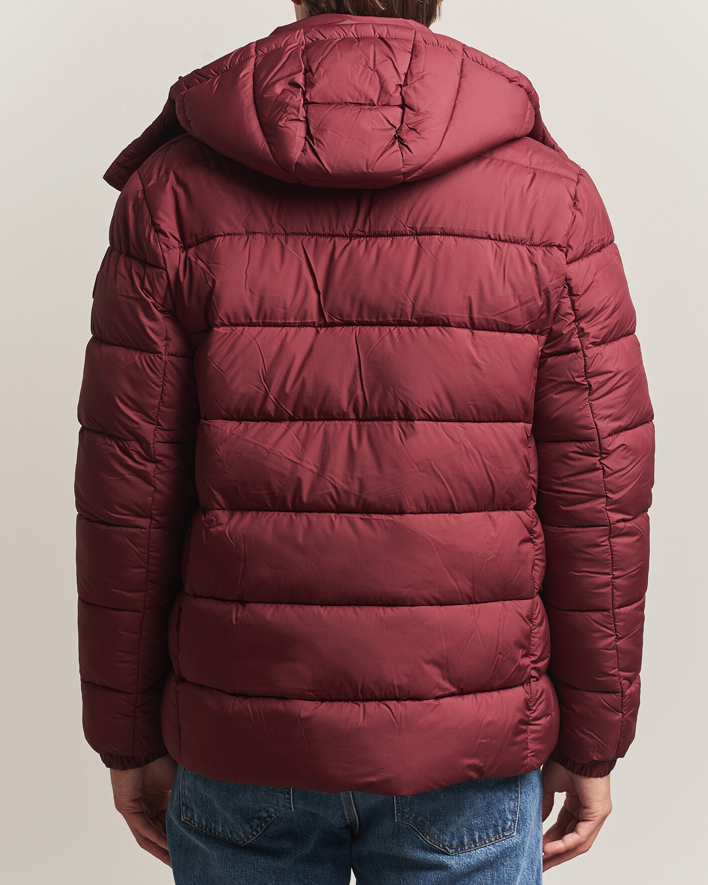 Herren | Jacken | Save The Duck | Boris Matt Padded Puffer Wine Red