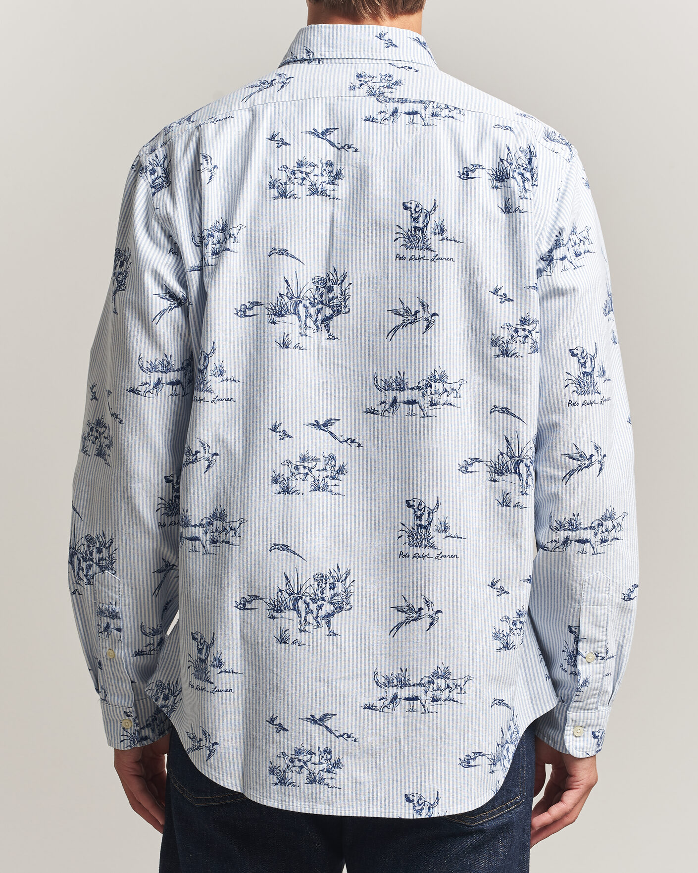 Herren | Hemden | Polo Ralph Lauren | Custom Fit Printed Oxford Shirt Field & Pheasant